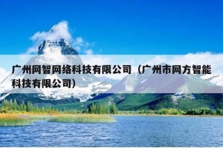 广州网智网络科技-重庆SEO