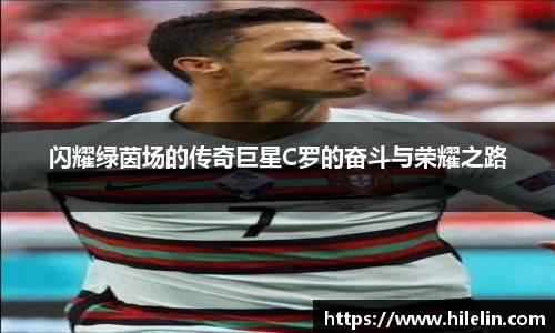 zoty中欧官网
